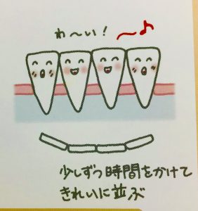 矯正で歯はなぜ動くのか❺